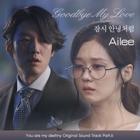 Good bye my love (inst)