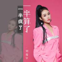 一半疯了一半算了(DJ默涵版)