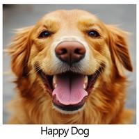 Happy Dog.