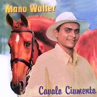 Cavalo Ciumento