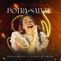 Potra Salvaje (feat. La banda de Carlitos) - En Vivo