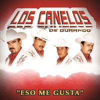 El Solterito - En Vivo