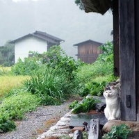 rain sound