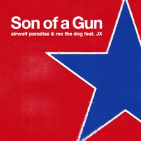 Son Of A Gun