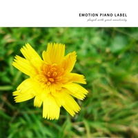 What a Brilliant Day