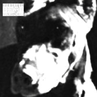 dogfood