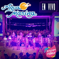 Tengo Que Olvidarte - En Vivo