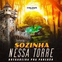 Sozinha Nessa Torre Bregadeira Pra Paredão