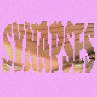 Synapses