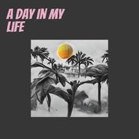 A Day In My Life