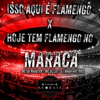 ISSO AQUI É FLAMENGO X HOJE TEM FLAMENGO NO MARACA