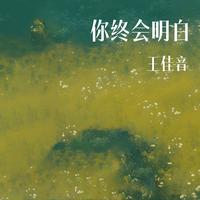 你终会明白