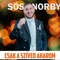 Csak a szíved akarom