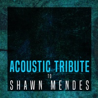 Stitches - Instrumental