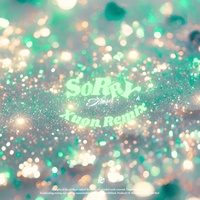 Sorry (Xuon Remix)