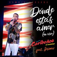 ¿Dónde estás amor?