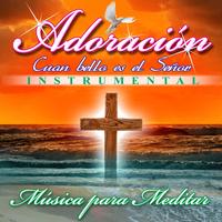 Aunque Mis Ojos (Instrumental)