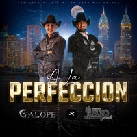 A La Perfección