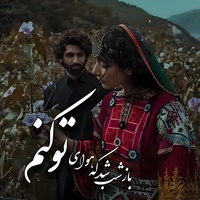 باز شب شد که هوای تو کنم