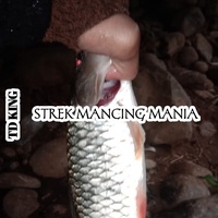 Strek Mancing Mania