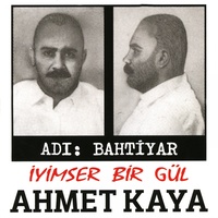 Doğum Günü