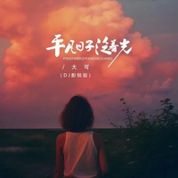 平凡日子泛着光(DJ彭锐版伴奏)