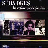 Hasretinle Yandı Gönlüm