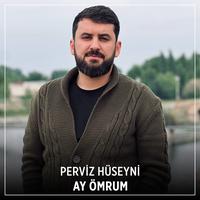 Ay Ömrum