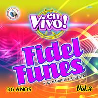 Exitos de Fidel Funes 3: Buscando Novia / Morena de Quince Años / Amor a la Ligera - En Vivo