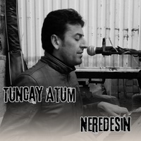 Neredesin