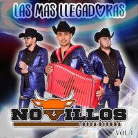 Se Me Extravio el Corazon