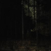 TREPIDATION - Slowed