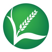 رجعنا - مطاحن روتانا للغلال