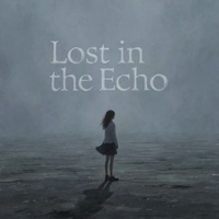 Lost in the Echo