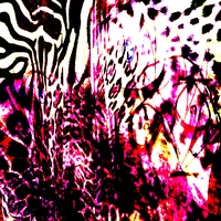 Analogue Mind