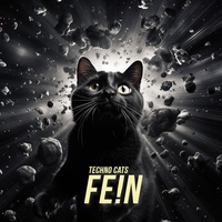 FE!N - Techno Remix