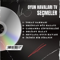 Tokat Sarması