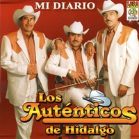 Nadie Te Ama Como Yo