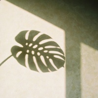Living Slowly