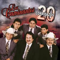 Camino de Guanajuato