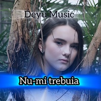 Nu-mi trebuia - Radio Edit
