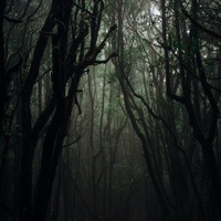 Dark
