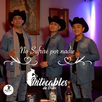 No sufriré por nadie