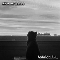 widower teases