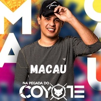 Ser Matuto É Luxo