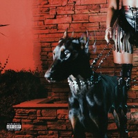 MUTT - REMIX