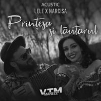 Prințesa și lăutarul - Acustic