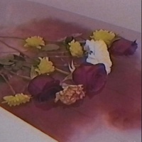 Hay Flores Flotando en el Agua