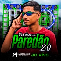 Vidigal