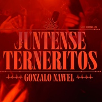 Juntense Terneritos